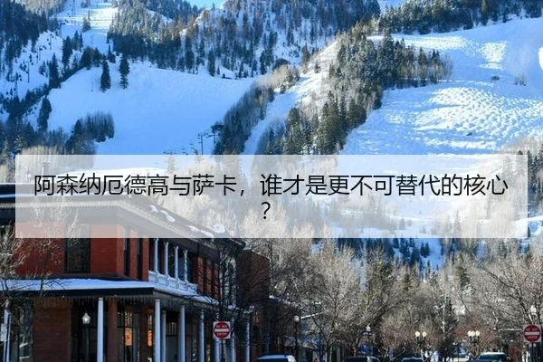 a-sen-na-e-de-gao-yu-sa-ka-shui-cai-shi-geng-bu-ke-ti-dai-de-he-xin-2-339.jpg