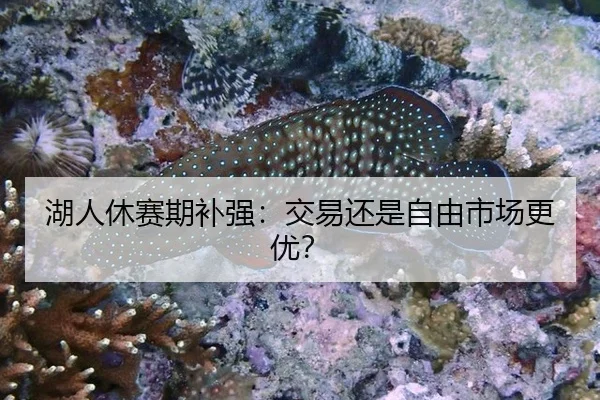 湖人休赛期补强：交易还是自由市场更优？